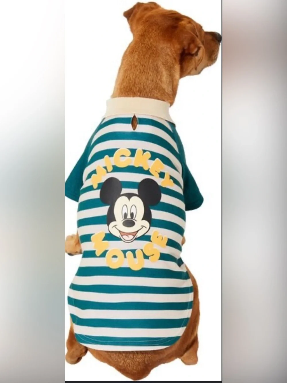 Disney Mickey Mouse rugby jersey